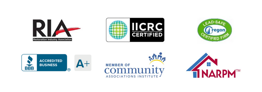 Certifications and accreditations: RIA, IICRC Certified, Lead-Safe Certified Firm, BBB Accredited Business A+